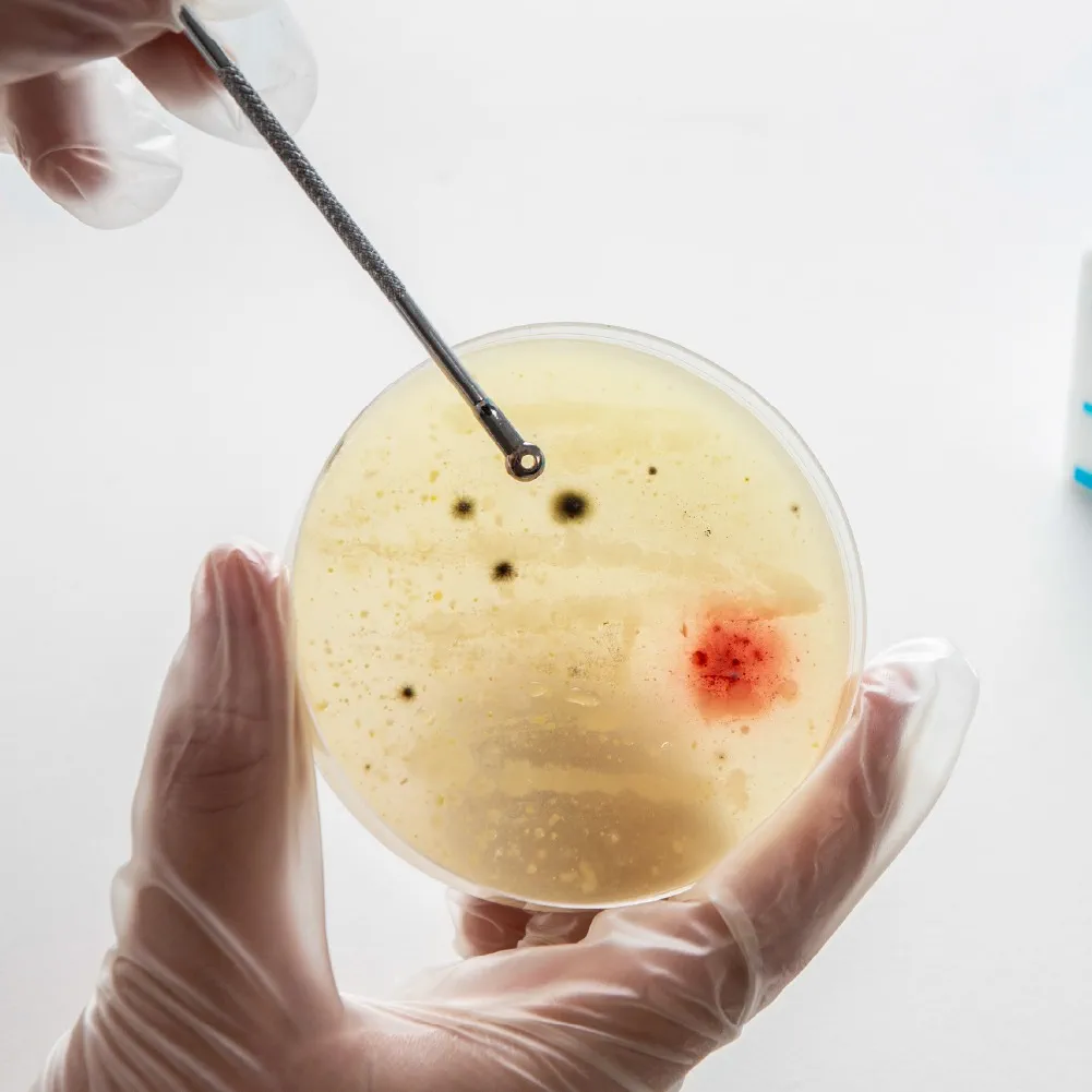El escudo de bioseguridad que tus procesos industriales necesitan